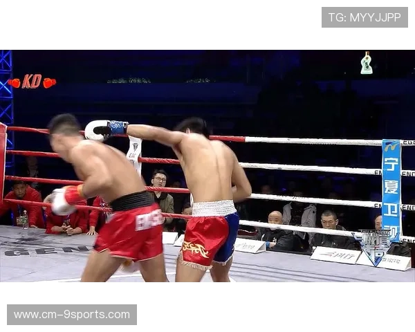 “拳击狂潮席卷四川，谁能脱颖而出？”