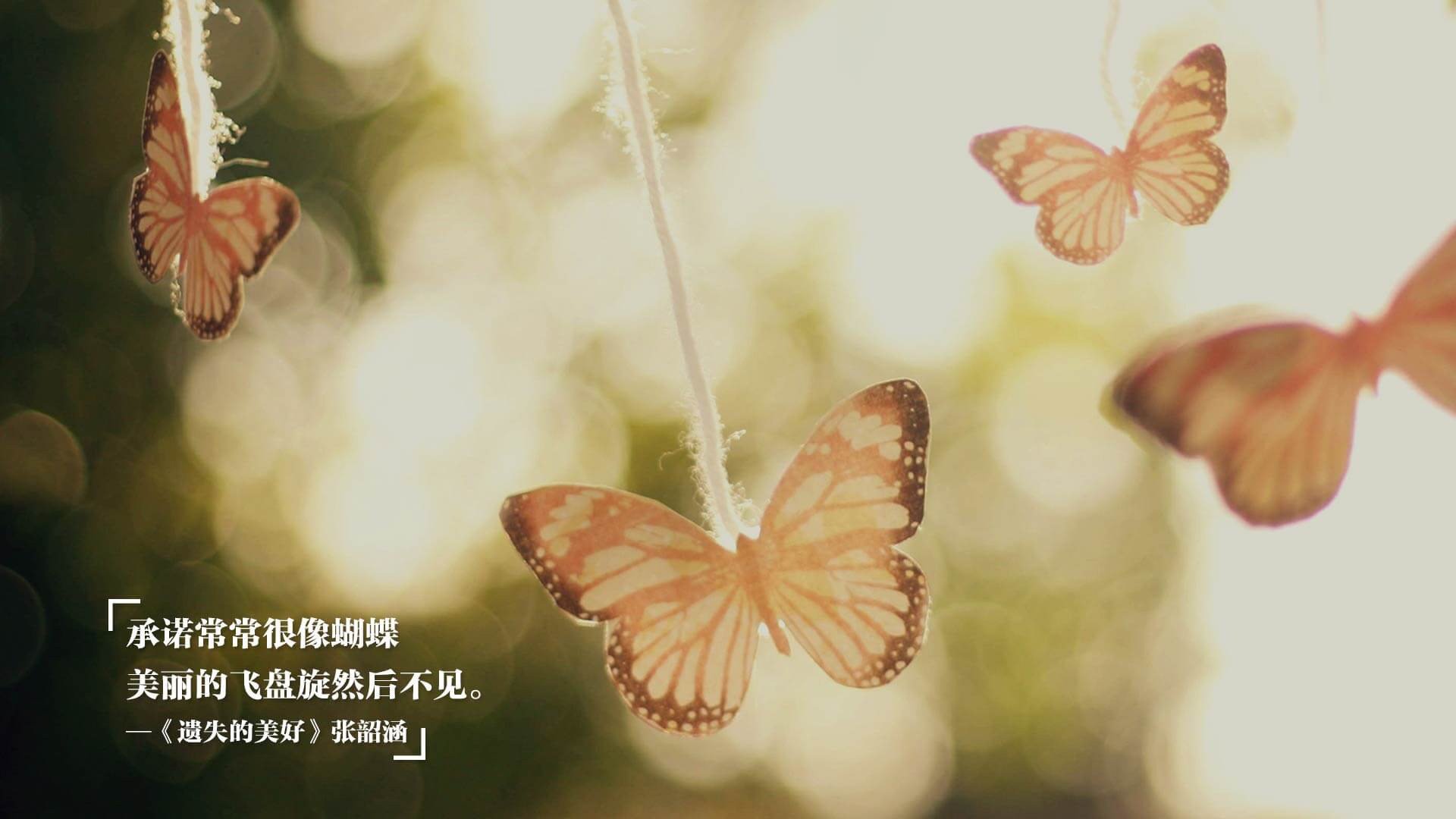 瑞典队未来布局:如何提升团体赛的整体实力,瑞典队员