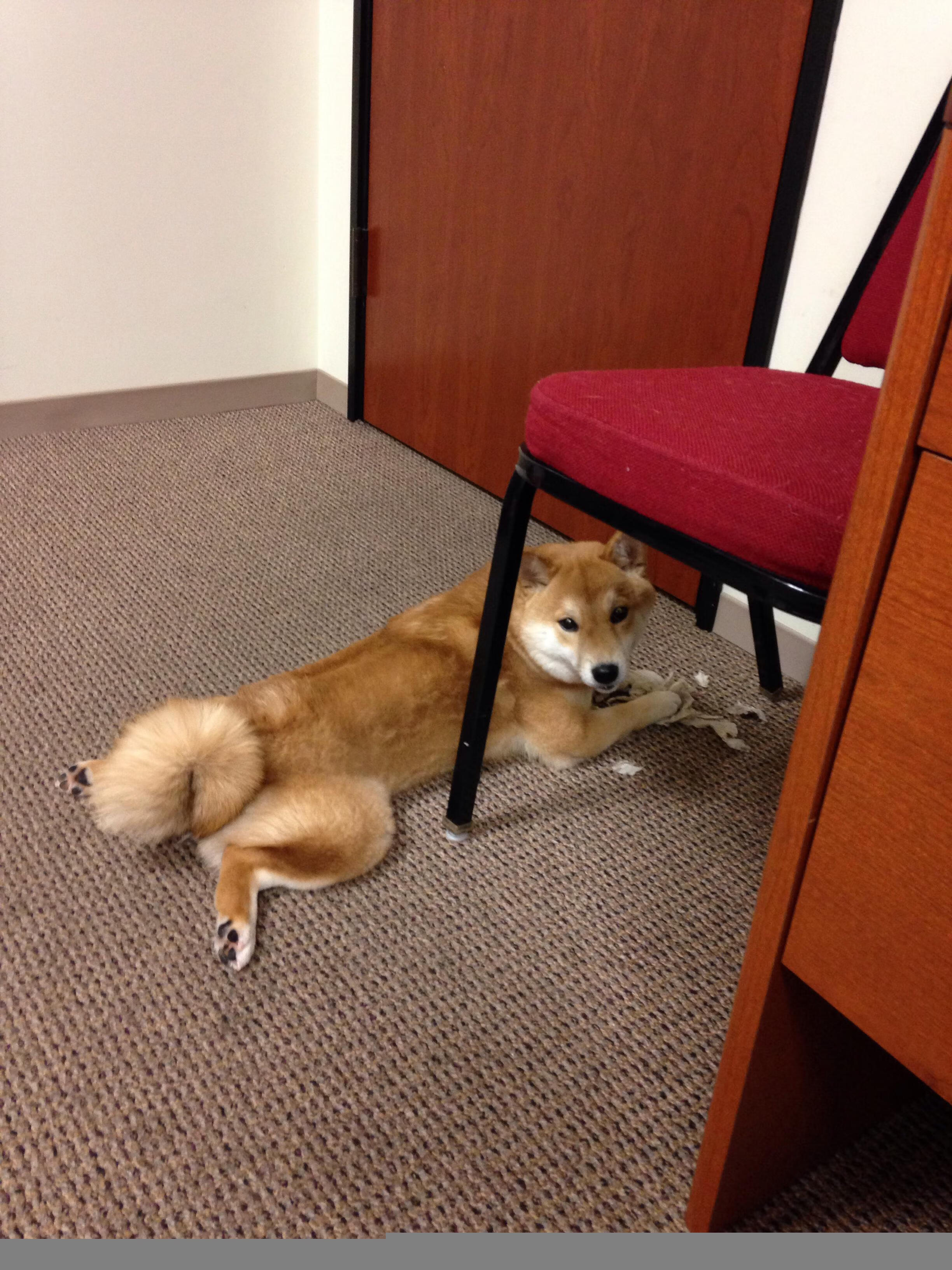 进攻三人组是否更倾向固定配合提升默契度,足球三人进攻配合视频