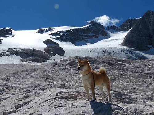 字母哥强调进攻选择需更加合理，字母哥进球后动作